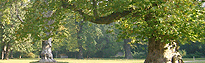 Schlosspark